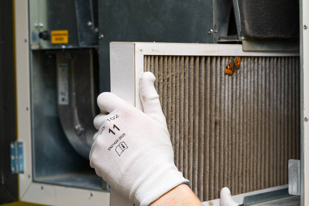 Best Professional Duct Cleaning Services  in Hammond, IN